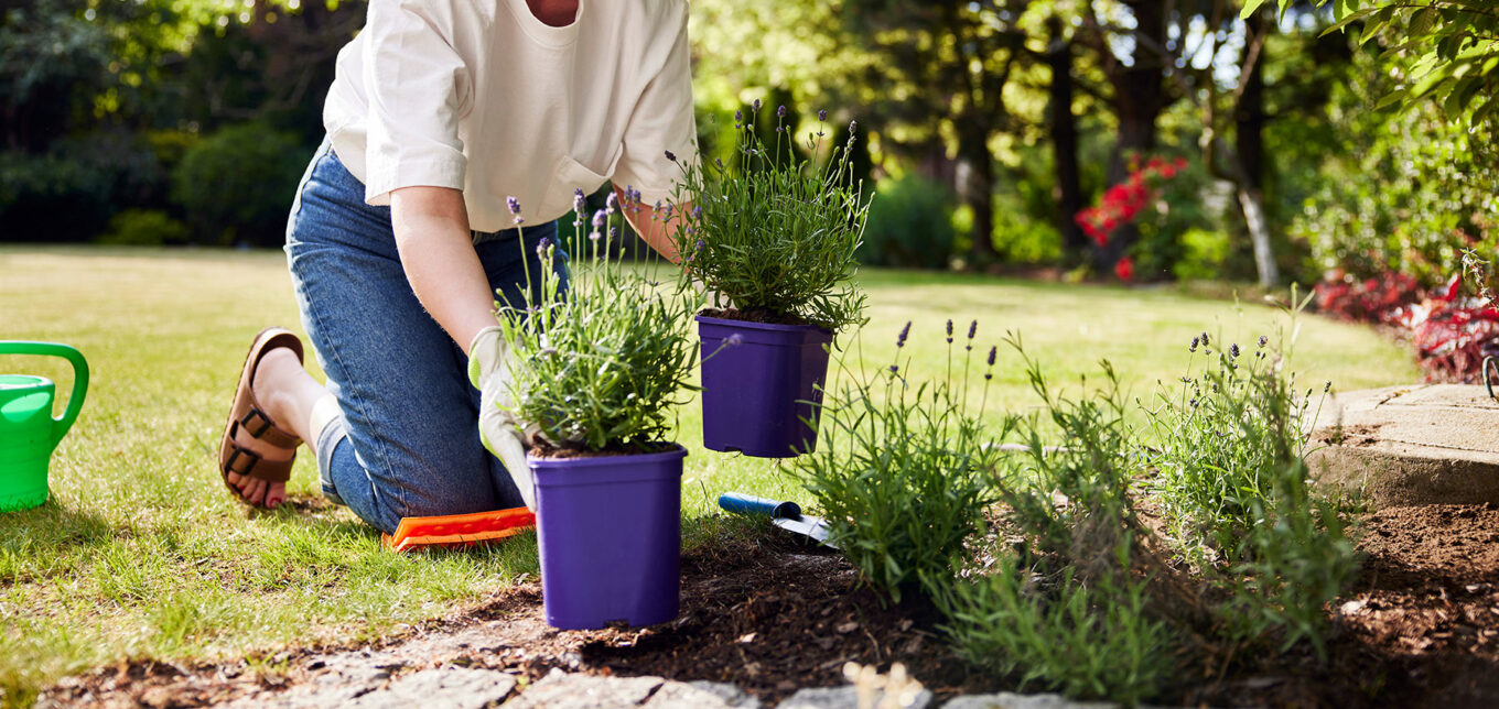 Planning Your Ontario Garden For Beginners (2026)