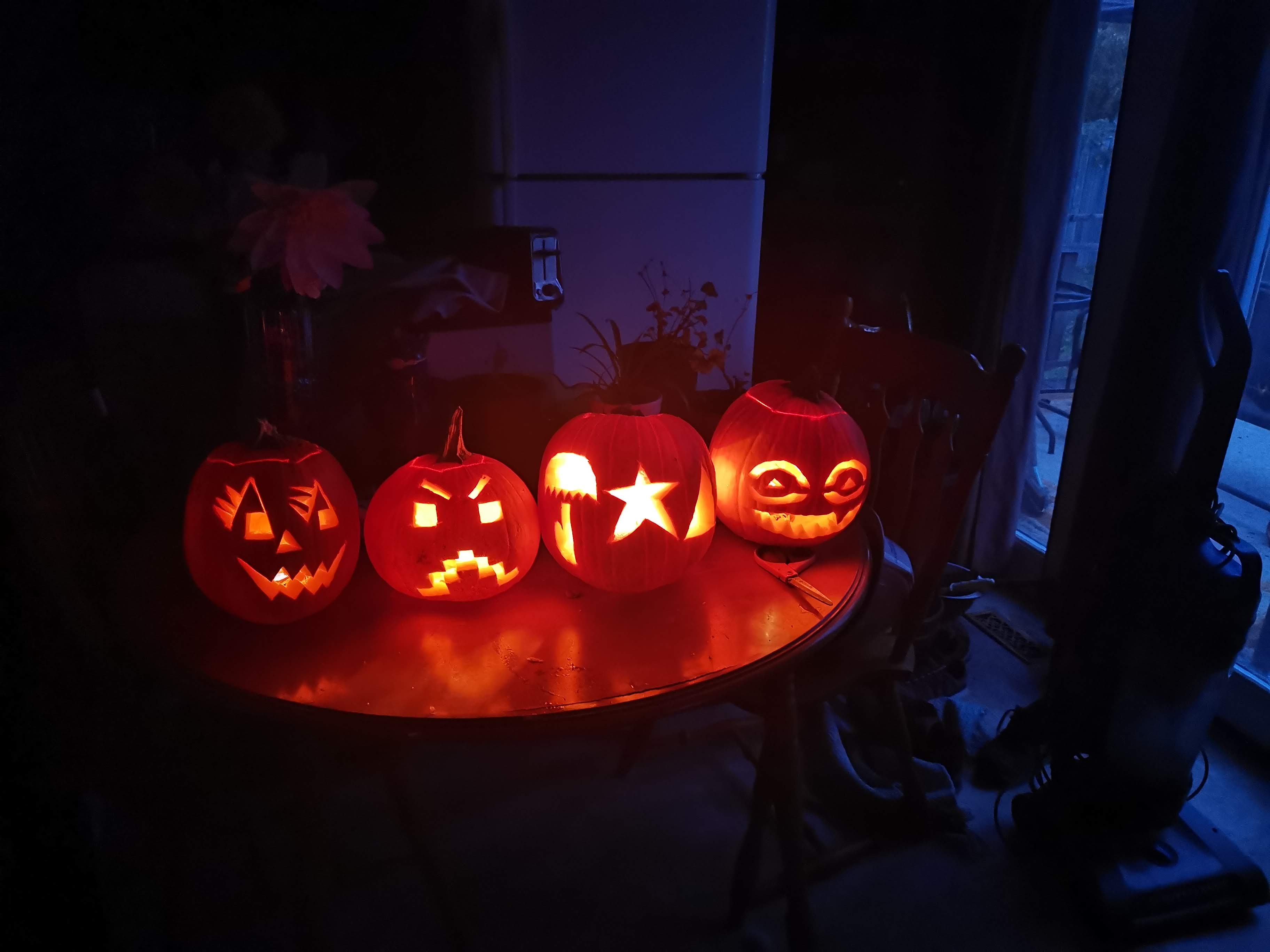How to Grow Pumpkins at Home: Planting, Care, and Growing Giants