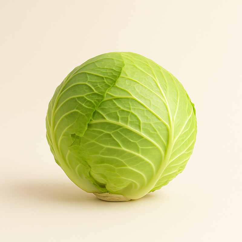 Cabbage