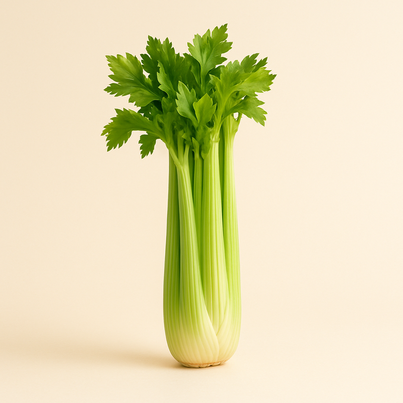 Celery