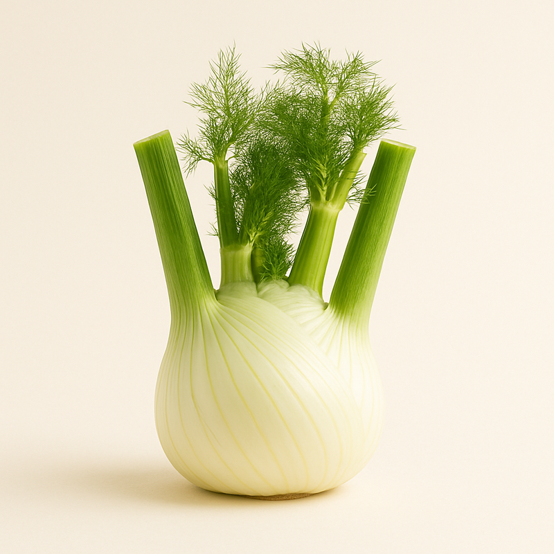 Fennel