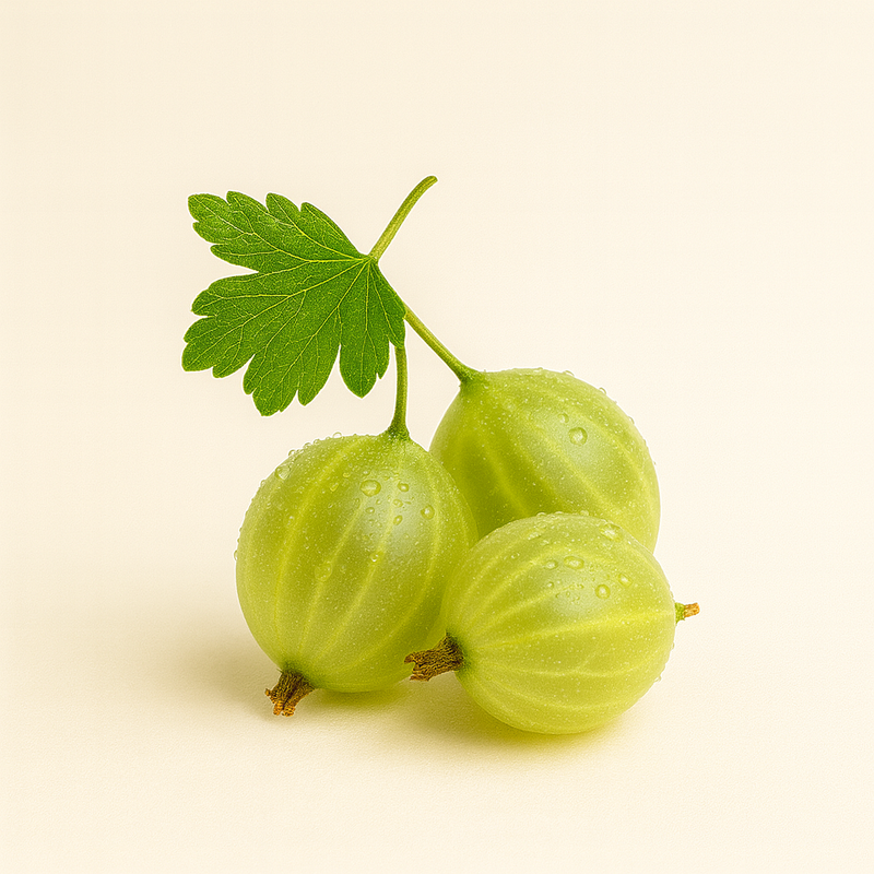 Gooseberries