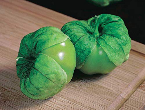 An image of the plant grown with seed for Tomatillo Super Verde Hybrid Seeds - Large Apple-Green Fruits, Ideal for Salsas & Sauces, Thrives in Full Sun, Non-GMO