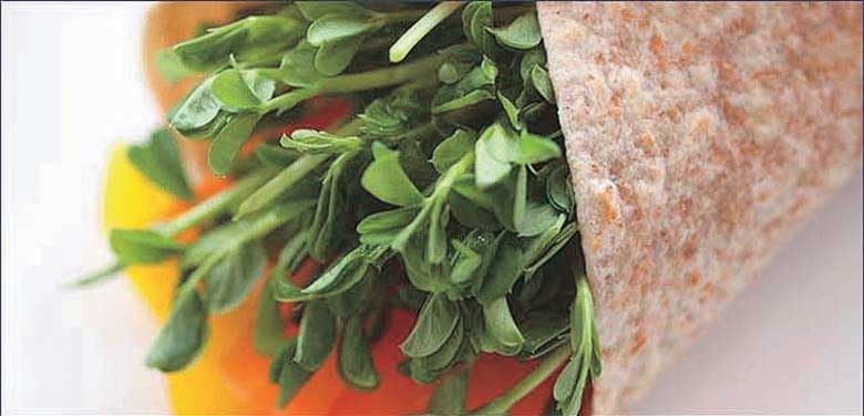 An image of the plant grown with seed for Heirloom Speckled Pea Seeds - Perfect for Robust Shoots and Sprouting, High-Yield, Sweet Taste, Ideal for Vertical Gardening