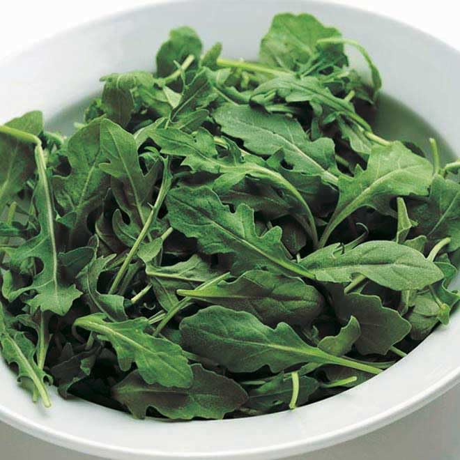 An image of the plant grown with seed for Arugula Lettuce Seeds Pellets - Peppery & Sharp Flavor, Ideal for Gourmet Baby Greens, Thrives in Garden or Container, Easy to Grow
