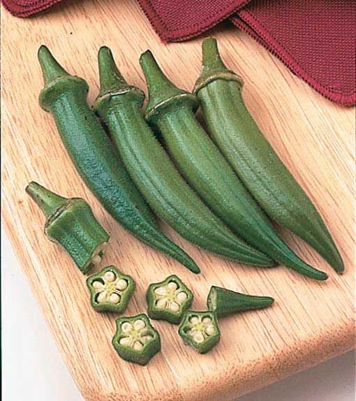 An image of the plant grown with seed for Okra Jambalaya Seeds - Ideal for Soups & Stews, High Yield & Long Harvest, Attractive Plant for Decorative Gardens, Non-GMO