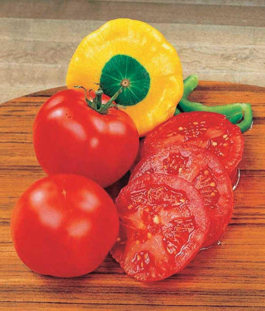 An image of the plant grown with seed for Early Girl Bush Tomato Seeds - Compact Plants with Abundant Juicy Fruits, Great for Small Gardens, Non-GMO, Heirloom Variety