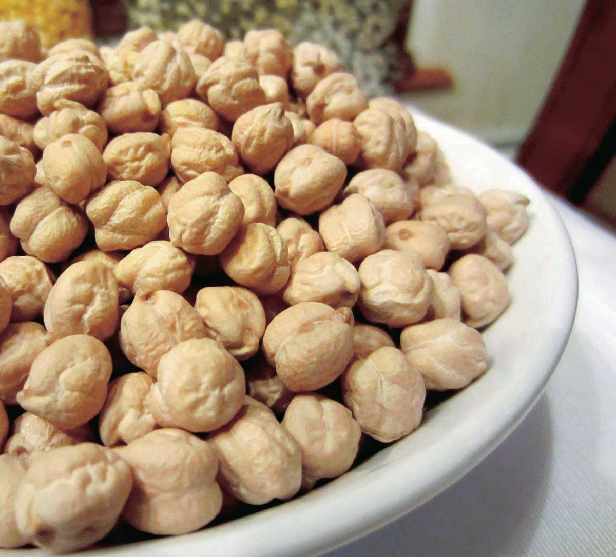 An image of the plant grown with seed for Orion Kabuli Chickpea Seeds - Large, Nutty, Perfect for Short Growing Seasons, Ideal for Hummus and Salads, Non-GMO