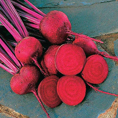 An image of the plant grown with seed for Red Ace Beet Seeds - Sweet & Tender, Ideal for Baby Beets & Winter Storage, Fast-Growing Hybrid with Bright Green Tops