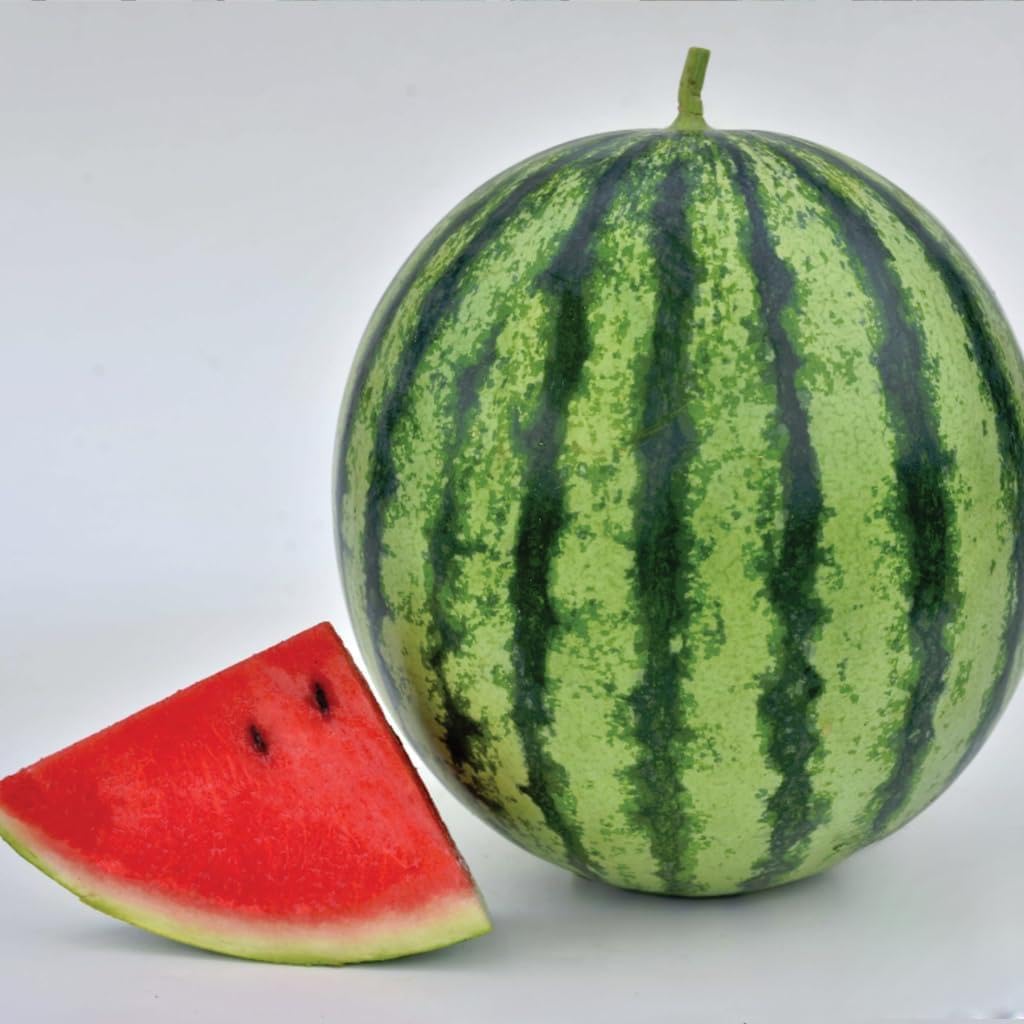 An image of the plant grown with seed for Mambo Watermelon Seeds - Perfectly Round with Deep Red Flesh, Thrives in Cool Conditions, Delicious & Retains Freshness
