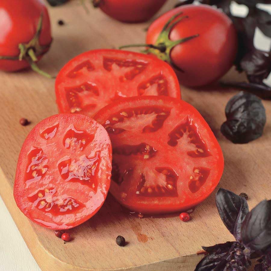 An image of the plant grown with seed for Better Bush Tomato Seeds - Ideal for Container Gardens, Medium-Sized Flavorful Tomatoes, Perfect for Slicing & Sandwiches, Thrives in Small Spaces