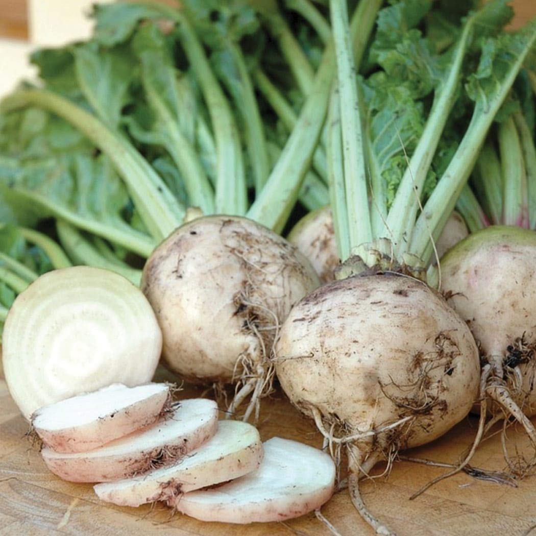 An image of the plant grown with seed for Heirloom White Albino Beet Seeds - Super Sweet Sugar Beet with Pure White Flesh, Ideal for Culinary Diversity, Non-GMO
