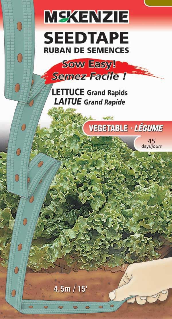 An image of the plant grown with seed for Grand Rapid Lettuce Seed Tape - Crisp Light Green Curly Leaves, Early Harvest, Ideal for Outdoor & Greenhouse Planting, Tip Burn Resistant, Non-GMO