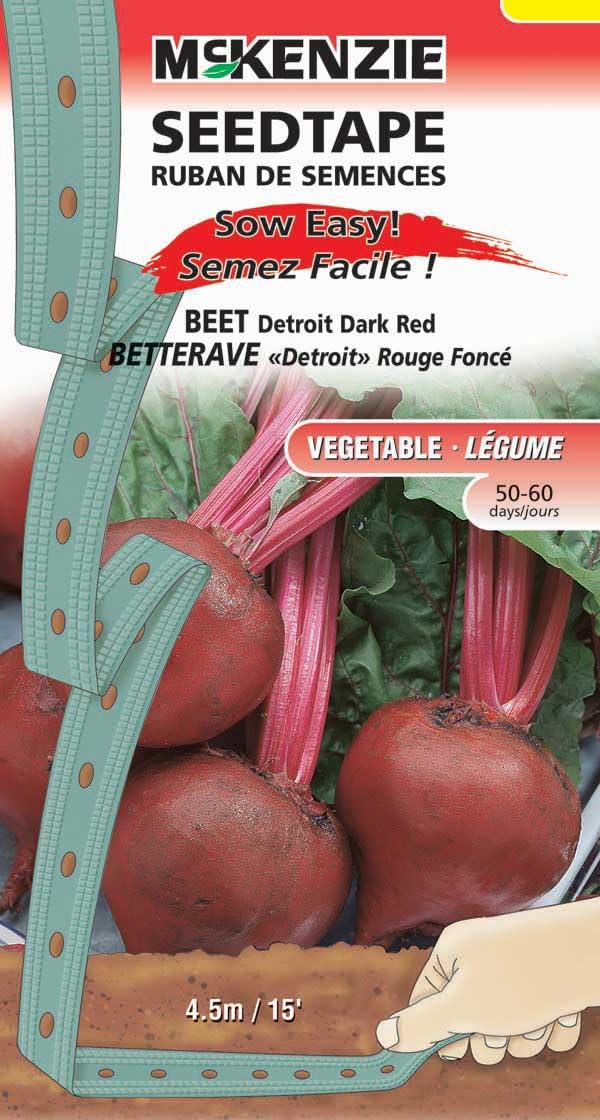 An image of the plant grown with seed for Detroit Dark Red Beet Seed Tape - Perfect Globe Beets, Resistant to Bolting, Ideal for Early Sowing, Excellent Quality & Vibrant Color, Non-GMO