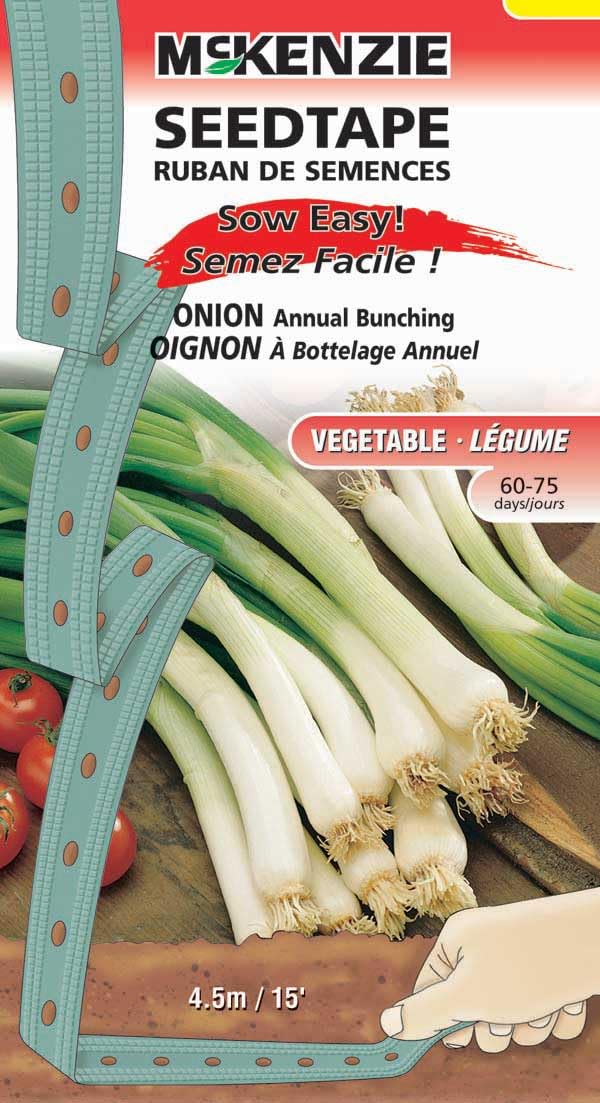 An image of the plant grown with seed for Premium Bunching Onion Seed Tape - Perfectly Spaced, Easy Planting, Quick Growing, Ideal for Salads & Cooking, Non-GMO, Organic