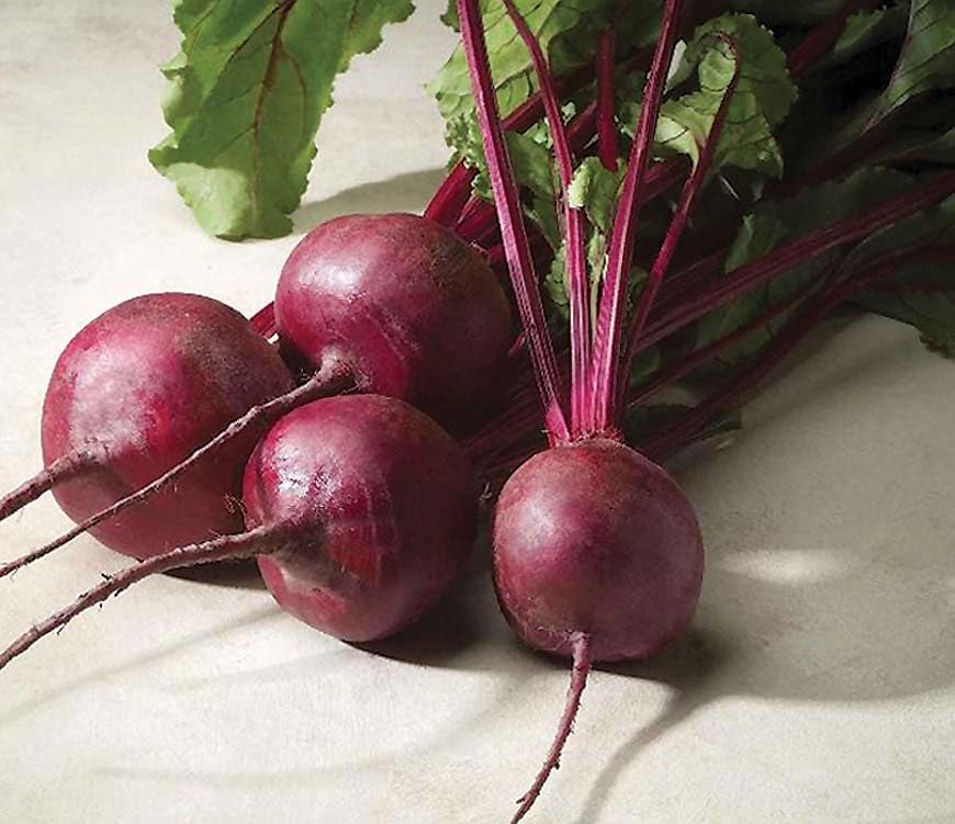 An image of the plant grown with seed for Merlin Beet Seeds - Sweet & Tender, Dark Ruby-Red Globes, High Brix Content, Perfect for Roasting and Pickling, Non-GMO