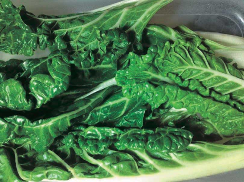 An image of the plant grown with seed for Swiss Chard Perpetual Seeds - Spinach-Like Flavor, Heat Resistant, Biennial, Perfect for Continuous Harvests Throughout Growing Seasons, Ideal for Health-Conscious Cooks