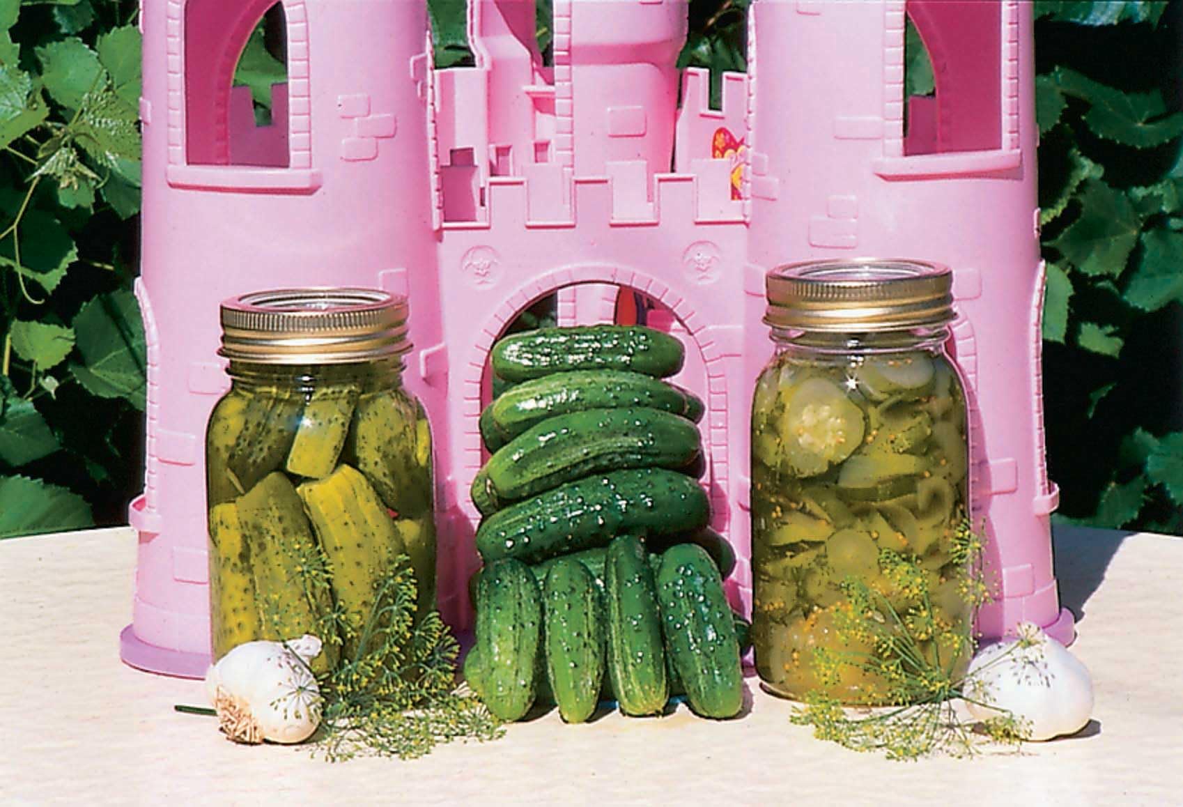 An image of the plant grown with seed for King of Castle Cucumber Seeds - Early Harvest, Sweet & Crunchy, Perfect for Fresh Eating & Pickling, Suitable for Small Spaces