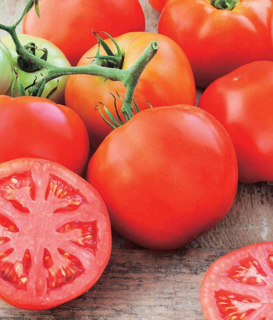 An image of the plant grown with seed for Pinklicious Tomato Seeds - Sweet & Tangy Flavor, Perfect for Containers & In-Ground Gardens, Large Rosy Pink Beefsteak Tomatoes, Determinate Growth, 73 Days to Harvest