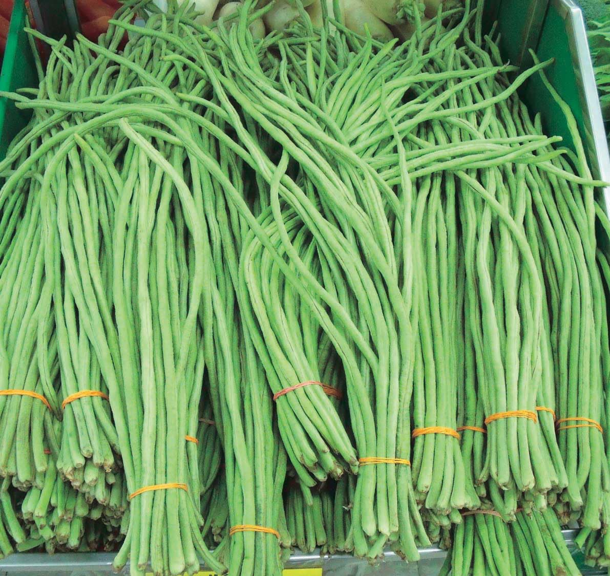 An image of the plant grown with seed for Orient Wonder Asparagus Beans Seeds - Crisp & Tender Long Green Pods, Perfect for Stir-Fry & Salads, Thrives in Various Climates, Non-GMO