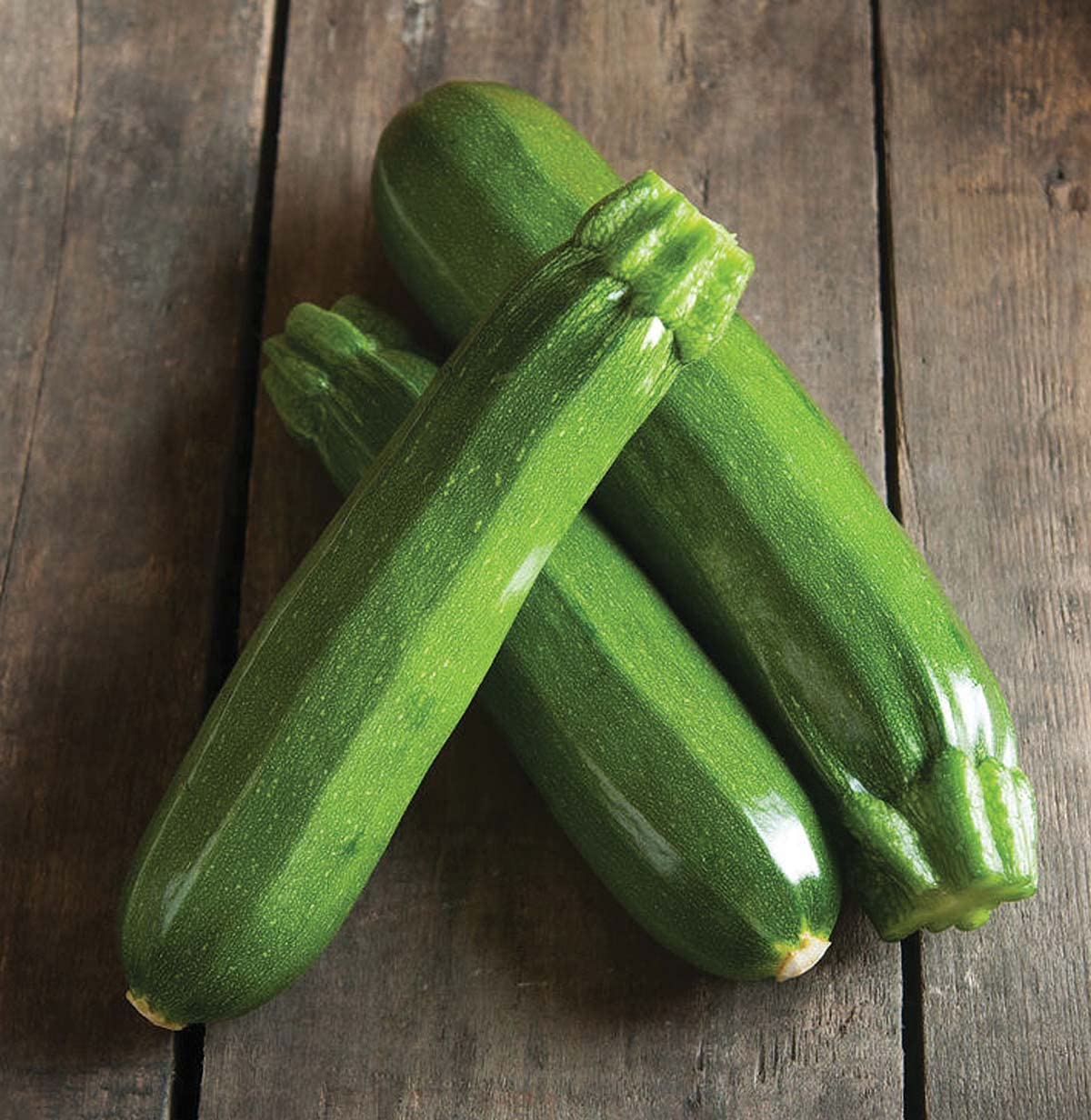 An image of the plant grown with seed for Spineless Perfection Zucchini Seeds - High Gloss, Straight 20cm Fruits, Open Habit for Easy Harvest, Enhanced Disease Resistance, Ideal for Mid to Late Season Planting, Non-GMO