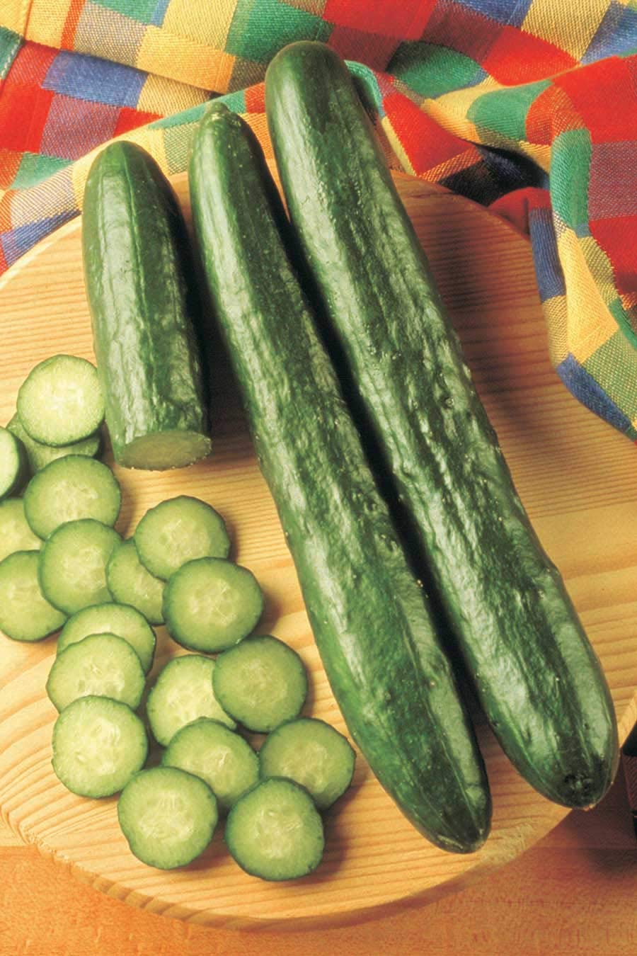 An image of the plant grown with seed for Sweeter Yet Cucumber Seeds - Dark Green, Burpless, Non-Bitter Skin, Ideal for Trellises and Fresh Eating