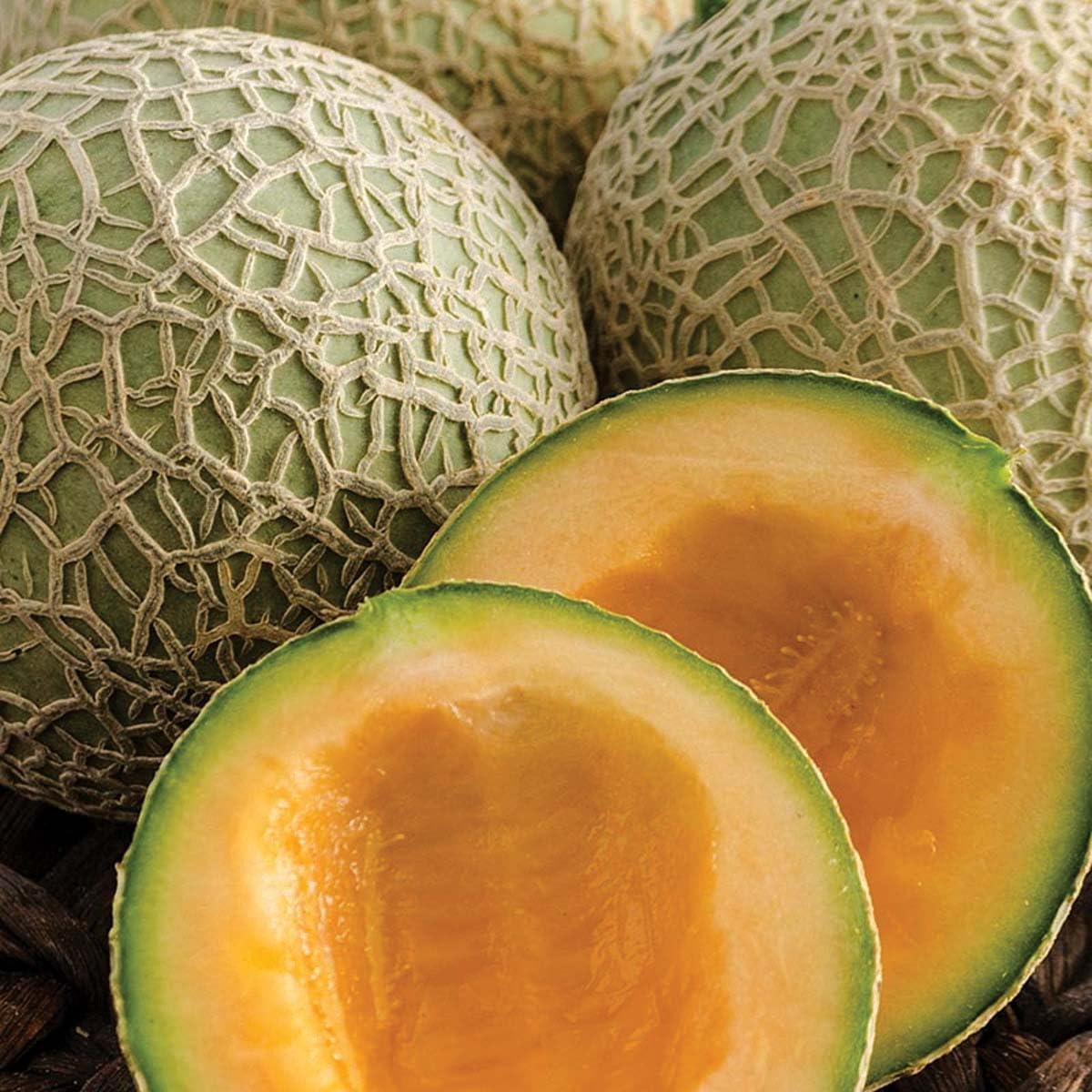 An image of the plant grown with seed for Sugar Cube Melon Seeds - Coarsely Netted, Juicy Deep Orange Flesh, High Sugar Content & Extended Shelf Life, Ideal for Personal Treats