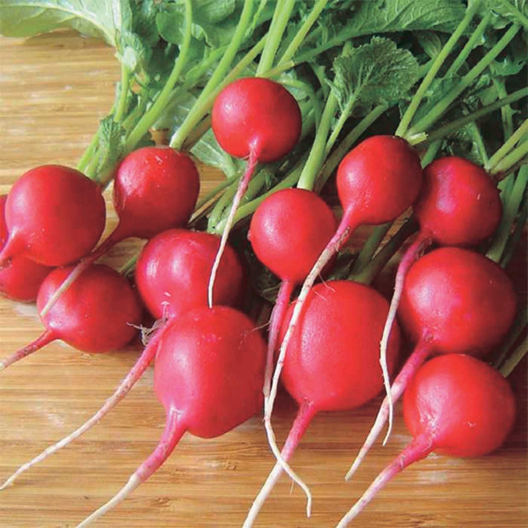 An image of the plant grown with seed for Rover Radish Seeds - Dark-Red, Crisp & Uniform, Perfect for Summer Planting, Heat Resistant, Non-GMO, Ideal for Salads