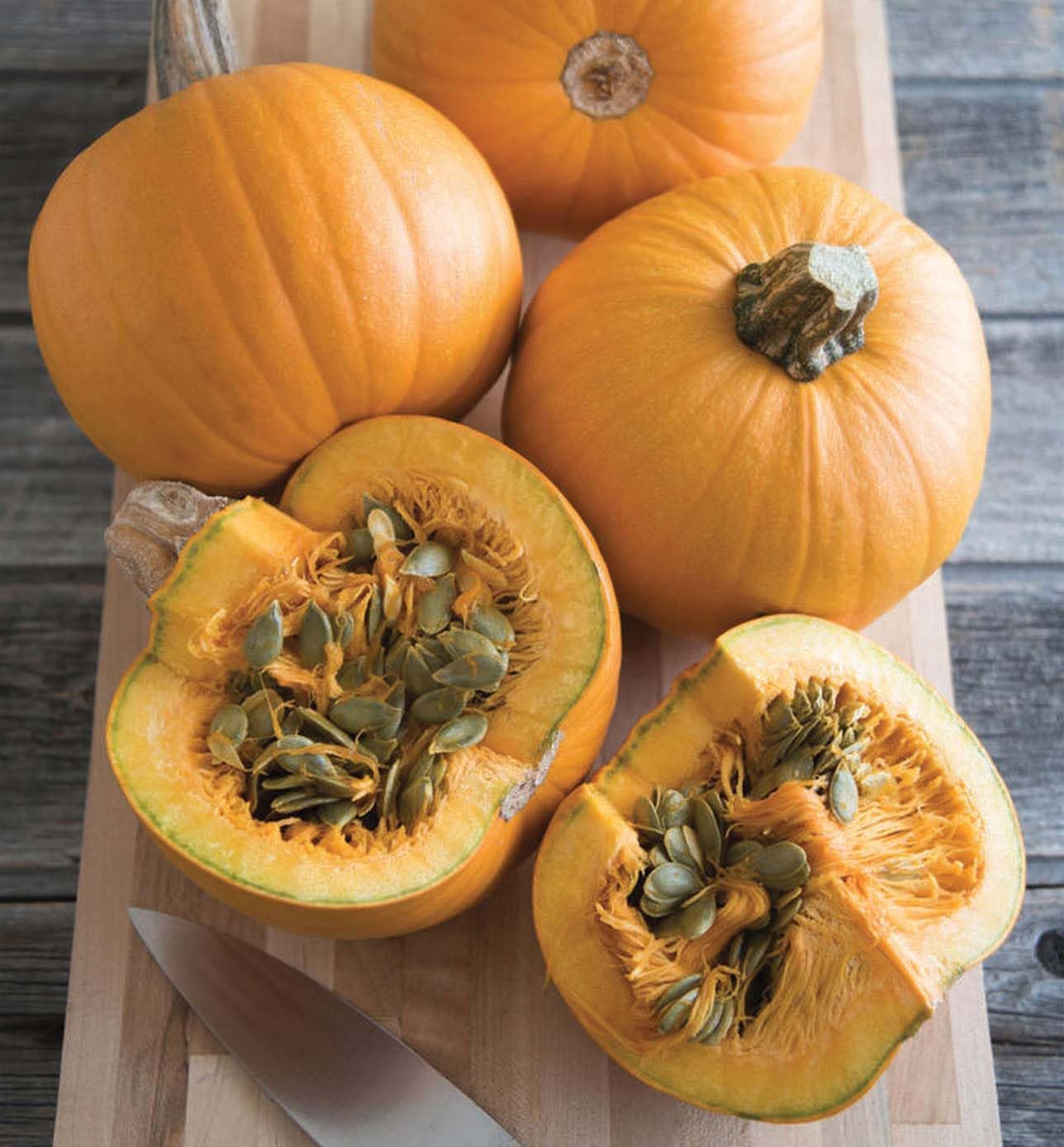 An image of the plant grown with seed for Naked Bear Pumpkin Seeds - Hulless, Sweet and Creamy, Ideal for Snacking, Baking, and Fall Decorations, Adaptable Grow Habits