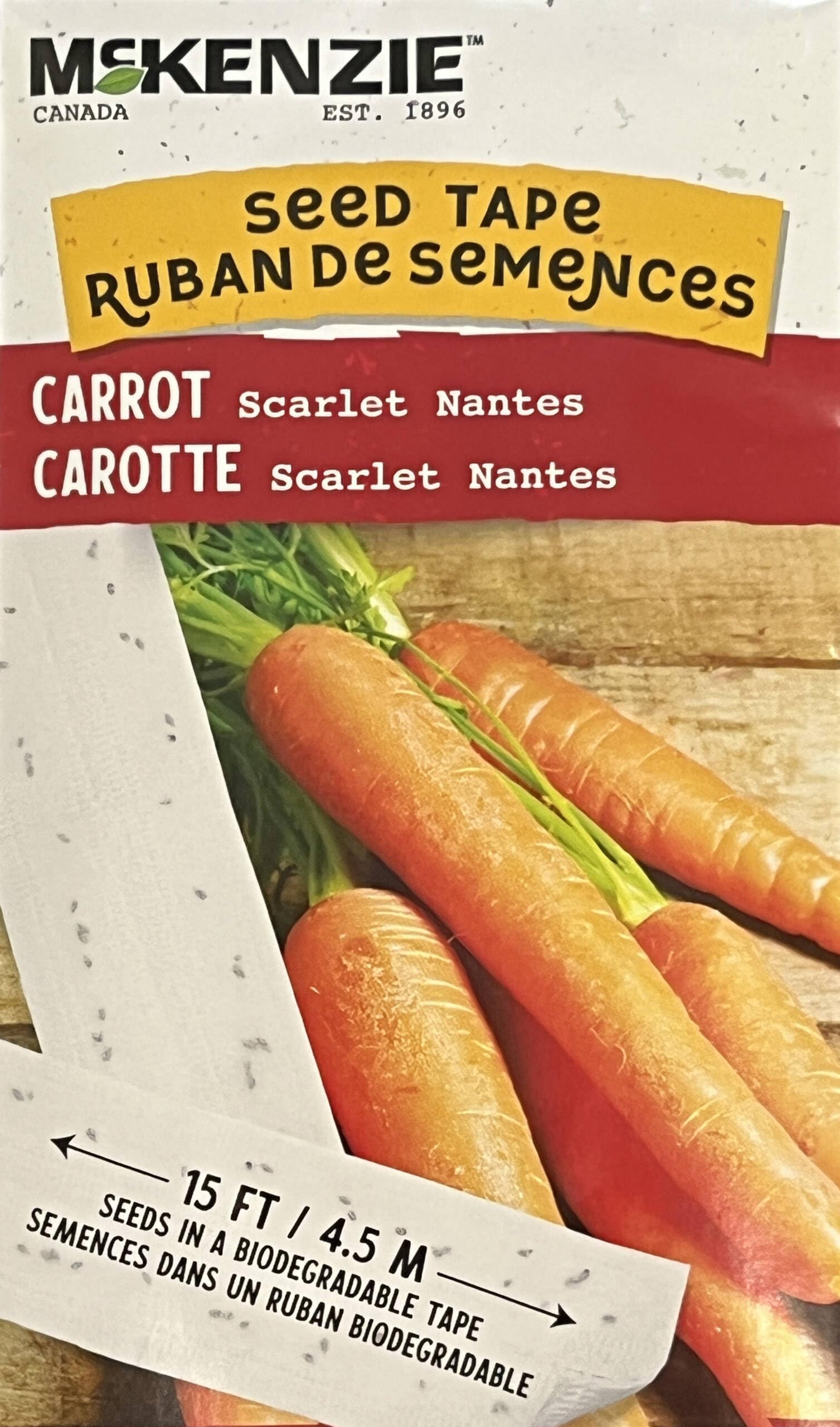An image of the plant grown with seed for Scarlet Nantes Carrot Seed Tape - Vibrant & Flavorful Roots, Ideal for Late Summer Harvests, Main Crop Variety, Stores Well for Winter